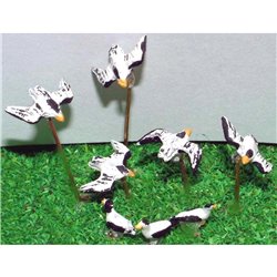 Painted - Assorted Seagulls x 8