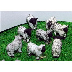 8 Standing Sheep - Unpainted
