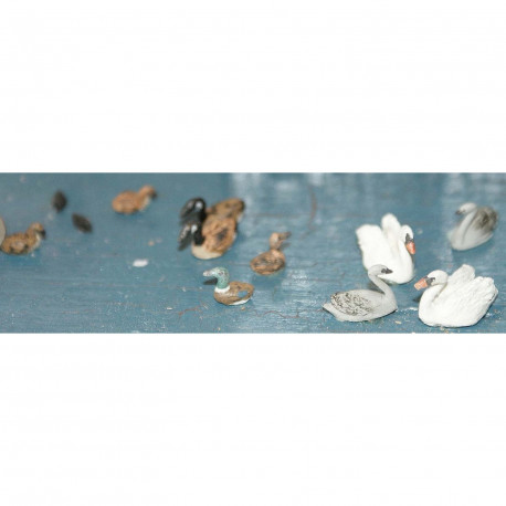 Waterfowl (Swans, ducks, Geese etc) - Unpainted