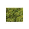 6mm Spring Grass 20g 