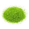 Spring Green Scatter