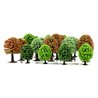 25 Deciduous Trees