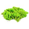 Light Green Lichen