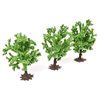 Fruit Trees (3)