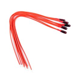 Grain of Wheat Bulb 12v Red (Pack of 5)