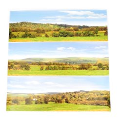 Large Valley Backscene - 12 x 108 in. (2744 x 304mm)