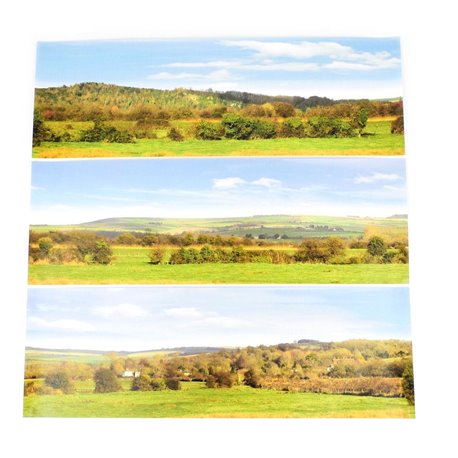Large Valley Backscene - 12 x 108 in. (2744 x 304mm)
