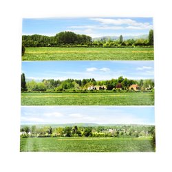 Large Open Field Backscene - 12 x 108 in. (2744 x 304mm)