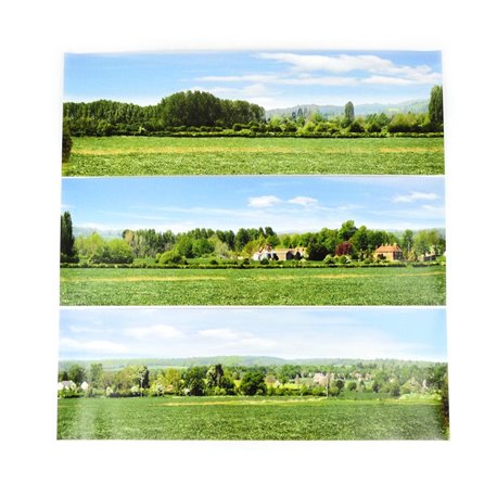 Large Open Field Backscene - 12 x 108 in. (2744 x 304mm)