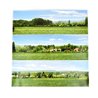 Large Open Field Backscene - 12 x 108 in. (2744 x 304mm)