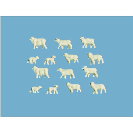 Sheep & Lambs(14)