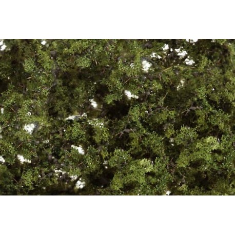 Medium Green Fine Leaf Foliage