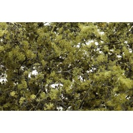 Olive Green Fine Leaf Foliage