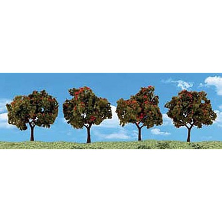 2in.-3in. Apple Trees - Pack of 4