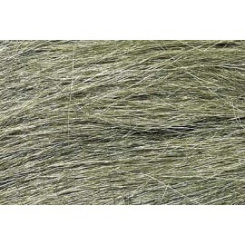 Medium Green Field Grass