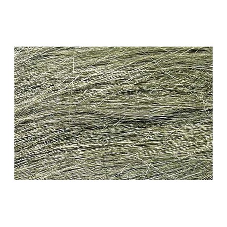 Medium Green Field Grass