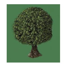 JAVIS N SPR.GREEN ORCH TREE