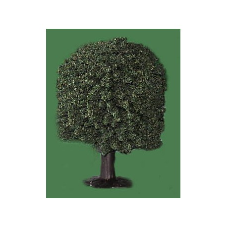 JAVIS N SMALL OAK TREE