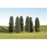 N 2-4" Cedar 36 Pk