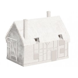Derelict cottage (unpainted)