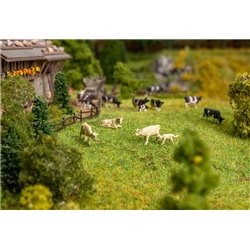 Cows (4) with Sound