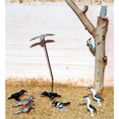 Painted Wild Birds 