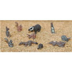 Painted Wild Animals 