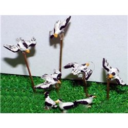 8 Small Seashore Turns & Blackhead Gulls. - Unpainted