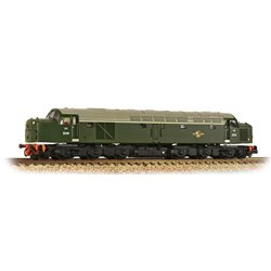 Class 40 Disc Headcode D248 BR Green (Late Crest)