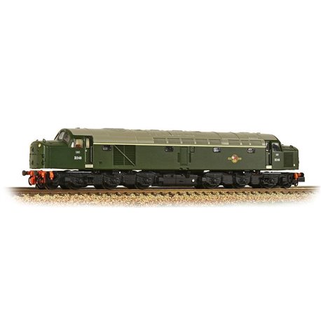 Class 40 Disc Headcode D248 BR Green (Late Crest)