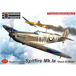 Supermarine Spitfire Mk.IA 'Black & White'