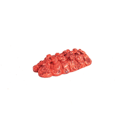 Red Mail Sacks