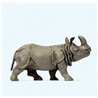 Indian Rhinoceros (Head