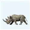 African Rhinoceros (Head