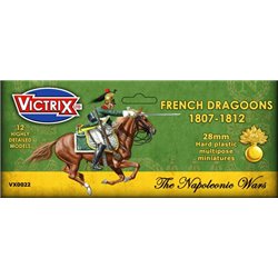 French Napoleonic Dragoons 1807 - 1812 