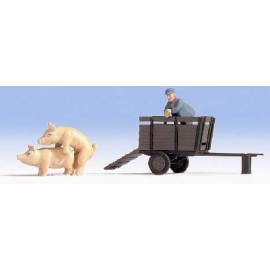 Pig Transportation