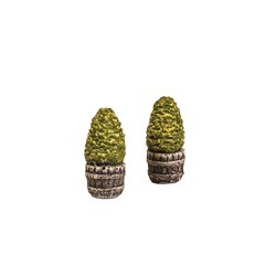 MINI TREES IN TUBS