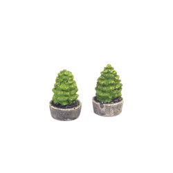 2 TREES IN PLANTER