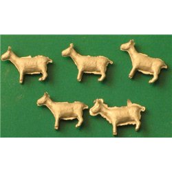Goats (5)