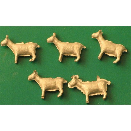 Goats (5)