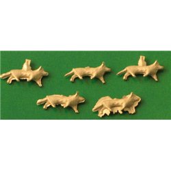 Foxes (5)