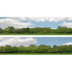 ID Backscenes Scenic Backgrounds - Trees Pack D