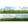 Trees (pack B) 2 x 5' x 15" premium OO gauge backscene