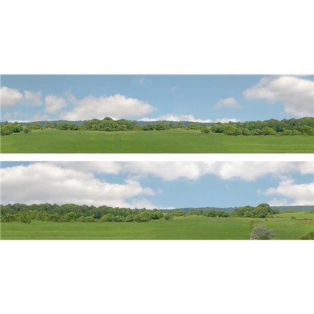 Village Long (pack D) 2 x 5' x 15" premium OO gauge backscene