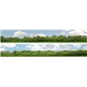 Trees (pack A) 2 x 5' x 9" premium N gauge backscene