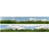 Trees (pack B) 2 x 5' x 9" premium N gauge backscene