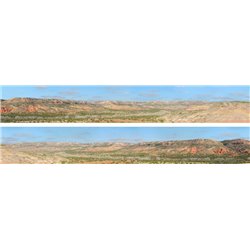Desert 2 x 5' x 9" premium N gauge backscene