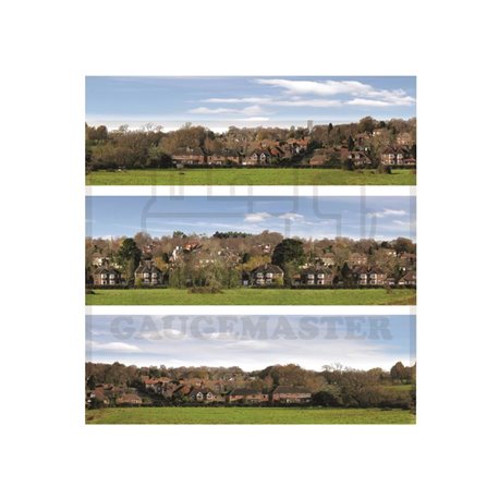 Village Medium Photo Backscene (2038x288mm)