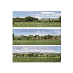 Open Field Medium Photo Backscene (2038x288mm)