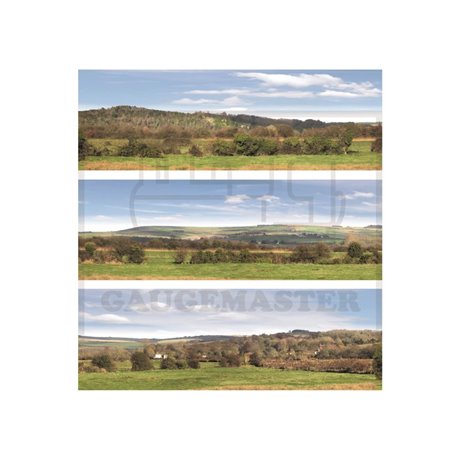 Valley Medium Photo Backscene (2038x288mm)